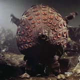 Takkong