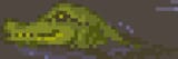 Croc