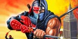 ninja-gaiden-and-shinobi-cover-art-split