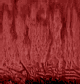 pinkfiretest1