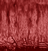 pinkfiretest2