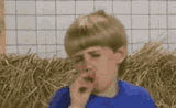 kazoo