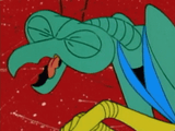 zorak-adult-swim