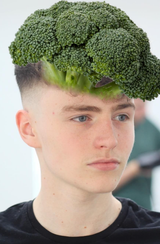 Gay-Zoomer