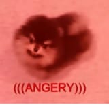Thread 11804596 OP Image