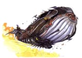 amano whale