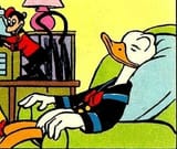 donald enjoy
