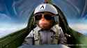 Shogun Pilot_thumb.jpg