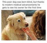 1474078162302