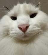 1724674908671551