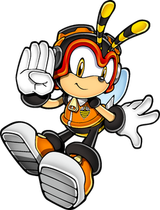 Sonic_Art_Assets_DVD_-_Charmy