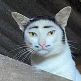 F5vRyeaXwAAV1mn