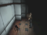 larval stalker