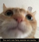 1750593900065675