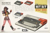 hitbit