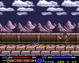Valis slide