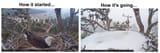 eagle_how_it_started_02