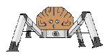 archnotr