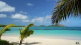 tropical island