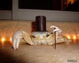 lobster