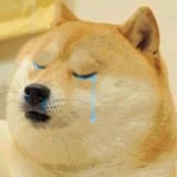 001sadboi