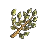 laurels