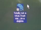 dolphin exe