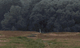 monty-python-holy-grail-932050497