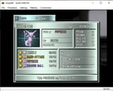 screen