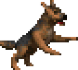 dogsf8