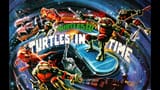 dubois-turtle