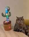 cactus cat[sound=files.catbox.moe%2Ffbe1ys.ogg]_thumb.jpg