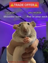 shoulder time