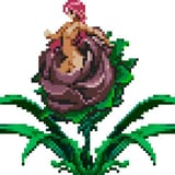 2526075-8116662244-Venus