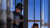 holy gachimuchi, batman!
