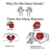 caco hands