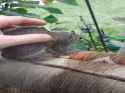 InShot_20250715_011149222_thumb.jpg