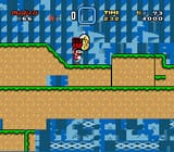 SMW-SE_00009