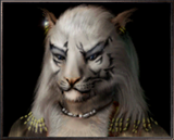 Wizardry_8_Female_Felpurr