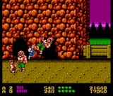 double dragon