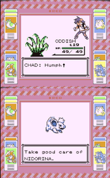 nidorina