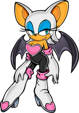 Sa2_rouge
