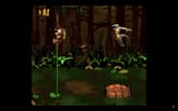 Donkey Kong Country 2