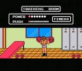Tecmo World Wrestling