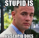 stupid-is-as-stupid-does