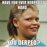 herp-derp