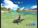 DolphinWaveRace