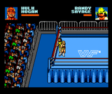 WWF_WrestleMania_Steel_Cage_Challenge_1993_Acclaim_-_Flying_Edge_screenshot