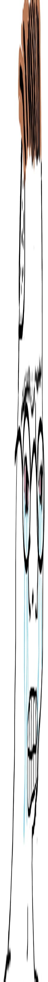 zoooooooooooooooom