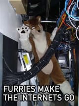 furries make the internets go